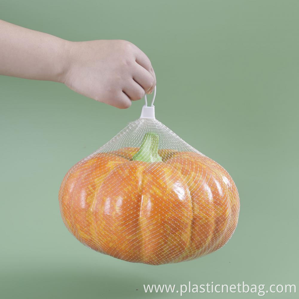 Pumpkin Mesh Bag